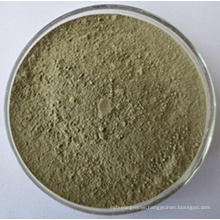 Fagopyrum esculentum Organic Buckwheat Grass Powder